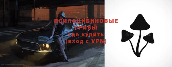шишки Краснотурьинск