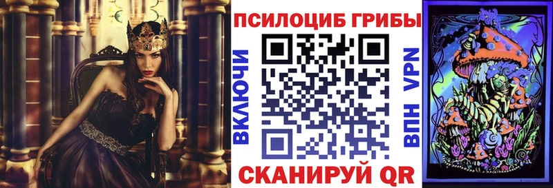 Галлюциногенные грибы Psilocybe  Мостовской 